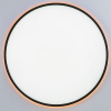 Потолочный светильник Citilux Norma CL749601
