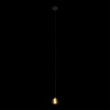 Подвесной светильник Loft IT Rain 10151