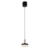 Подвесной светильник Delight Collection P0855 P0855-1A black