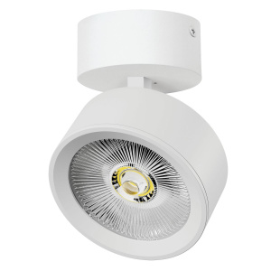 Накладной светильникAlta Pro Lightstar A5646SO