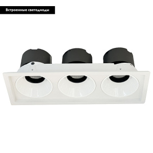 Встраиваемый светильник Wertmark Dorsum WTD.O21.000.30.30