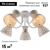 Потолочная люстра Reluce 01579-3.3-05 WH+FGD