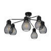 Потолочная люстра Freya Kaisa FR5069PL-06B