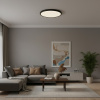 Потолочный светильник  LOFT IT Sweety 10454/500 Black