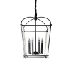 Подвесная люстра DeLight Collection BRCH9123BK