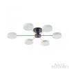 Потолочная люстра Arte Milano Ferrara 252006/6 Bk/Wh