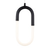 Подвесной светильник Freya Magnet FR6106PL-L13B