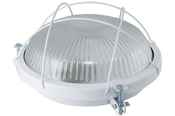 Настенно-потолочный светильник TDM Electric Рыбий глаз НПП 03-100-020.02 SQ0311-0022