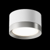 Потолочный светильник Maytoni Technical Hoop C086CL-GX53-SRD-WS