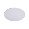 Настенно-потолочный светильник Lightstar Arco Eco 225730
