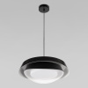 Подвесной светильник Loft IT Petale 10256P Black