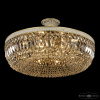 Потолочная люстра Bohemia Ivele Crystal AL19041/55FL AGW