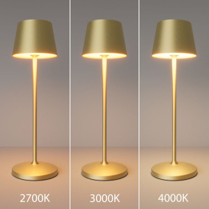 Настольная лампа с аккумулятором Maytoni Nook MOD494RL-L1BSK
