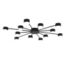 Потолочная люстра Lumion Comfi Torina 8344/12C