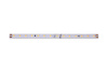 Светодиодная лента DesignLed DSG298-24-NW-33 000526