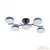Потолочная люстра Arte Milano Ferrara 256606/5 Bk/Gr