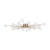Потолочная люстра Freya Celebrity FR5242CL-24BS1