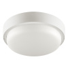 Настенно-потолочный светильник Wolta LCL04-12W-R01-6K