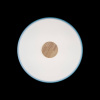Потолочный светильник Loft IT AXEL 10003/24 Blue