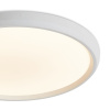 Потолочный светильник Freya Obelle FR6211CL-L24W