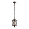 Уличный подвесной светильник Loft IT Ravenna 100016P