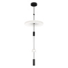 Подвесной светильник Loft IT Flamingo 10598C