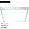 Потолочный светодиодный светильник Globo Tamina 41662