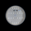 Потолочный светильник Loft IT AXEL 10003/24 Grey
