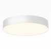 Накладной светильник Citilux Bart CL755390