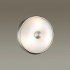 Настенно-потолочный светильник Odeon Light Pelow 4957/2