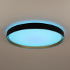 Потолочный светильник Citilux Boss CL751451G