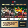 Потолочный светильник Эра Классик без ДУ SPB-6 BK 36W-5K Slim Base