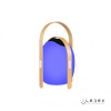 Настольная лампа iLedex Giggle OVS1100-CH WH