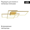 Потолочная люстра iLedex Grace 231/3-60W-3000K GL