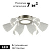 Потолочная люстра ST Luce Fairy SL6235.102.20