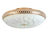Накладной светильник Toplight Davina TL1482Y-05GC