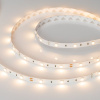 Светодиодная лента Arlight Rt-b30-10mm 5060 018102(2)