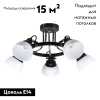 Потолочная люстра IMEX MD.51575-5-S BK