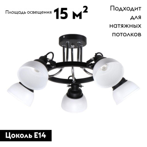 Потолочная люстра IMEX MD.51575-5-S BK