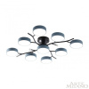 Потолочная люстра Arte Milano Ferrara 256606/8+1 Bk/Gr