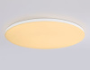 Потолочный светильник Ambrella Light Orbital Dance FZ2003