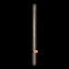 Настенный Светильник Loft IT Rays 10054GD