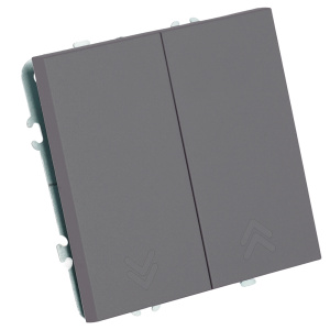 Выключатель двухклавишный Stekker Эмили RSW10-5116-10 платиново-серый soft touch 50823