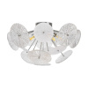 Потолочная люстра Freya Brillia FR5274CL-06CH