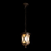 Уличный подвесной светильник Loft IT Ravenna 100016P