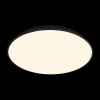 Потолочный светильник Loft IT Brim 10226 Black