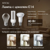 Настольная лампа Rivoli Naomi 7551-501 Б0070139