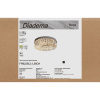 Потолочный светильник Freya Diadema FR6225CL-L36CH