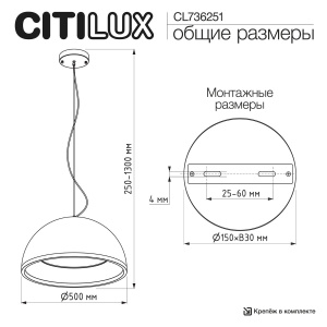 Подвесной светильник Citilux Floom CL736251