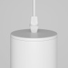 Подвесной светильник Maytoni Technical Focus P075PL-01W